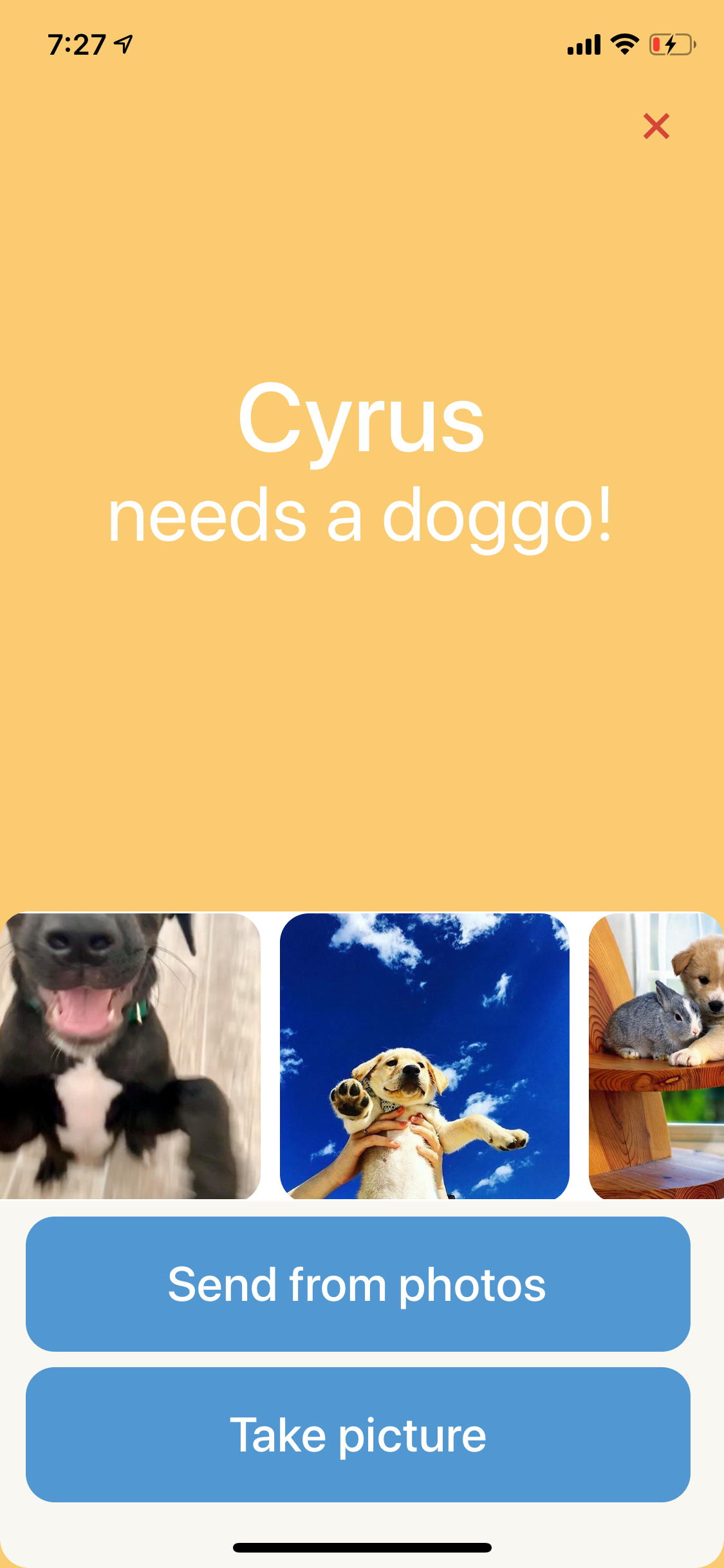 Screenshot of an iOS app with the prompt 'Cyrus needs a doggo!' with photos of dogs to choose from or a select from camera roll and take picture button